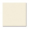 Colonial White Cardstock